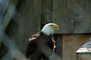 IMG_3688.jpg